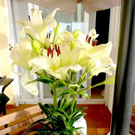 Con Piscina Climatizada Y Vistas *