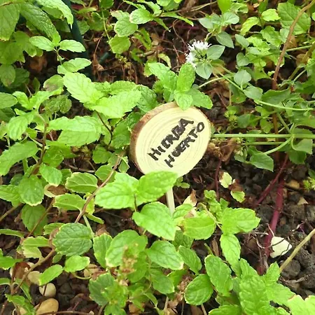 Con Piscina Climatizada Y Vistas *